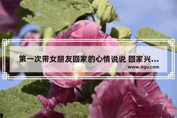 第一次带女朋友回家的心情说说 回家兴奋心情句子