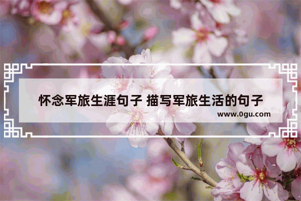 怀念军旅生涯句子 描写军旅生活的句子