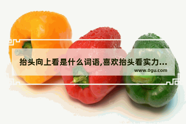 抬头向上看是什么词语,喜欢抬头看实力的句子成语