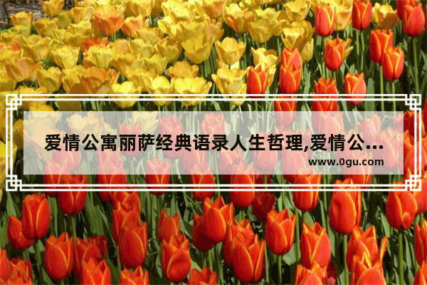 爱情公寓丽萨经典语录人生哲理,爱情公寓里的爱情哲理句子