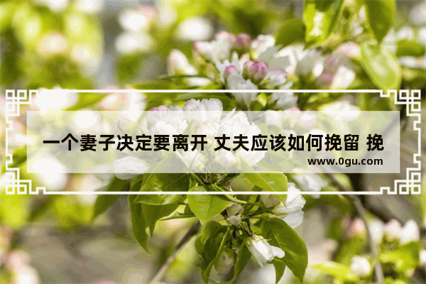 一个妻子决定要离开 丈夫应该如何挽留 挽回老婆的感情的句子短句