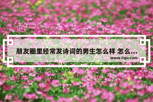 朋友圈里经常发诗词的男生怎么样 怎么看他,男生假装喜欢你的句子古文