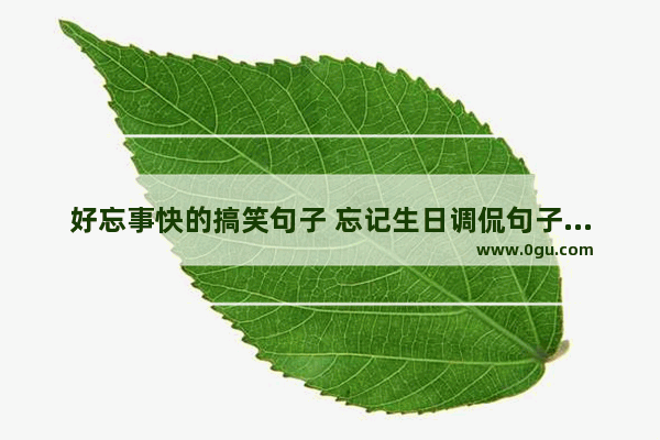 好忘事快的搞笑句子 忘记生日调侃句子搞笑