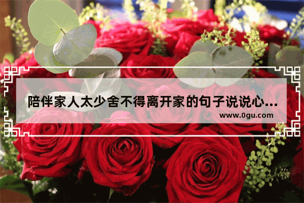 陪伴家人太少舍不得离开家的句子说说心情,无人小区 生活的句子