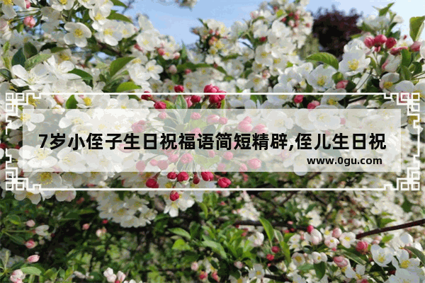 7岁小侄子生日祝福语简短精辟,侄儿生日祝福快乐的句子