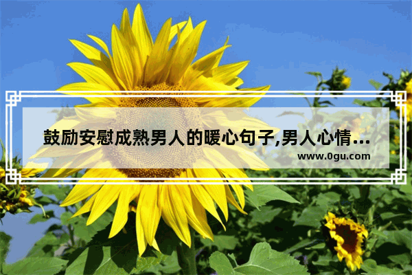 鼓励安慰成熟男人的暖心句子,男人心情经典句子