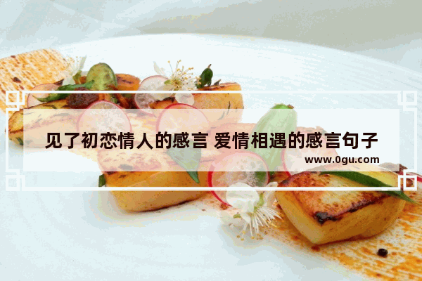 见了初恋情人的感言 爱情相遇的感言句子