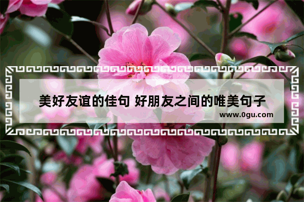 美好友谊的佳句 好朋友之间的唯美句子
