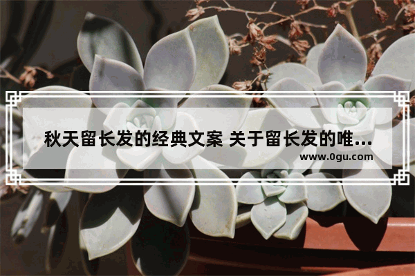 秋天留长发的经典文案 关于留长发的唯美句子