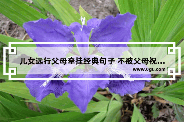 儿女远行父母牵挂经典句子 不被父母祝福的幸福句子