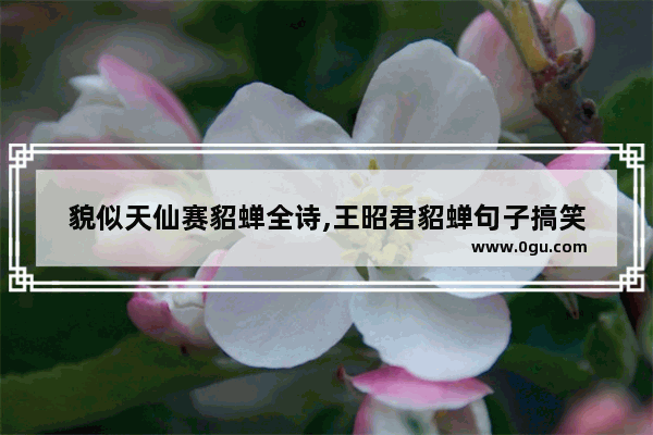 貌似天仙赛貂蝉全诗,王昭君貂蝉句子搞笑