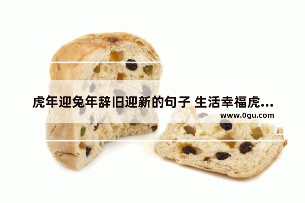 虎年迎兔年辞旧迎新的句子 生活幸福虎年大吉的句子