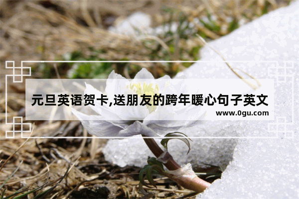 元旦英语贺卡,送朋友的跨年暖心句子英文