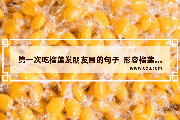 第一次吃榴莲发朋友圈的句子_形容榴莲的霸气句子