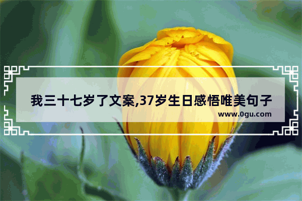 我三十七岁了文案,37岁生日感悟唯美句子