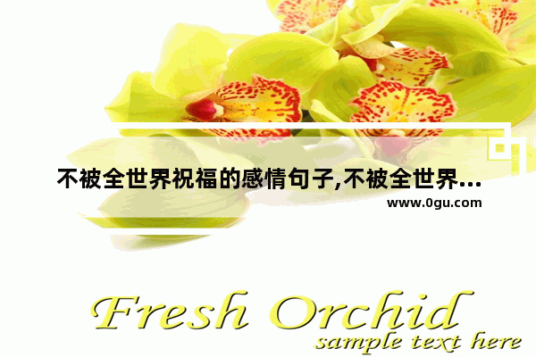 不被全世界祝福的感情句子,不被全世界祝福的感情句子
