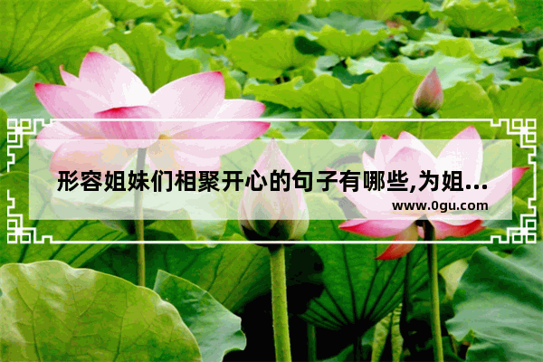 形容姐妹们相聚开心的句子有哪些,为姐妹的幸福落泪的句子
