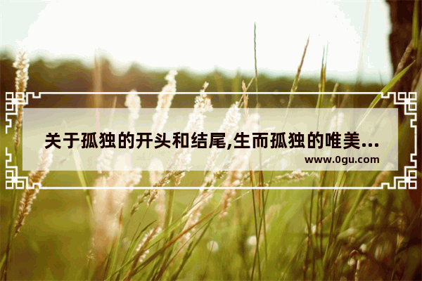 关于孤独的开头和结尾,生而孤独的唯美句子