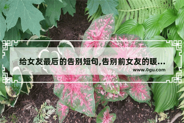 给女友最后的告别短句,告别前女友的暖心短句子