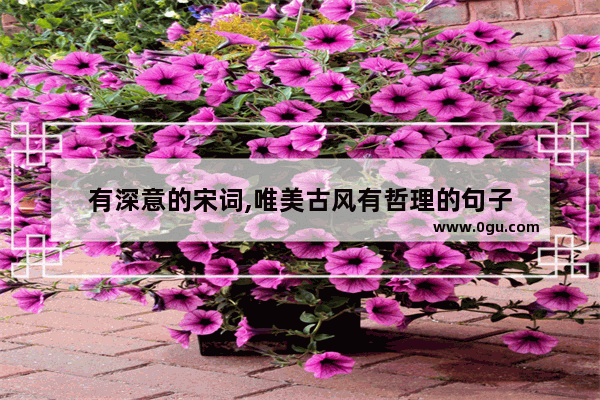 有深意的宋词,唯美古风有哲理的句子