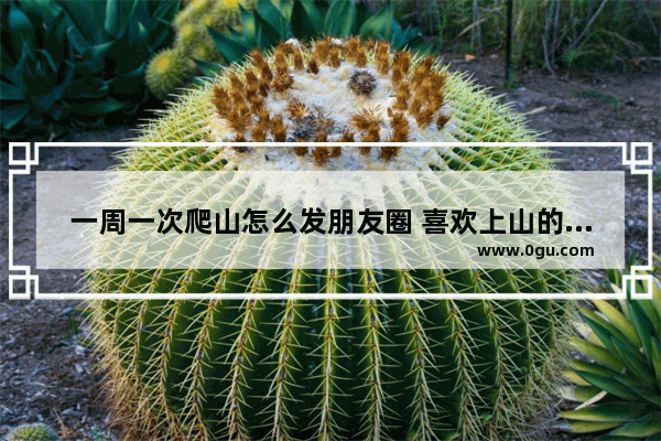 一周一次爬山怎么发朋友圈 喜欢上山的心情句子
