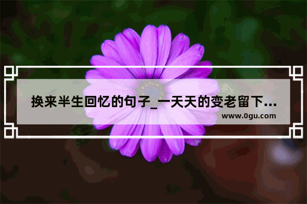 换来半生回忆的句子_一天天的变老留下最美好的回忆一句说说