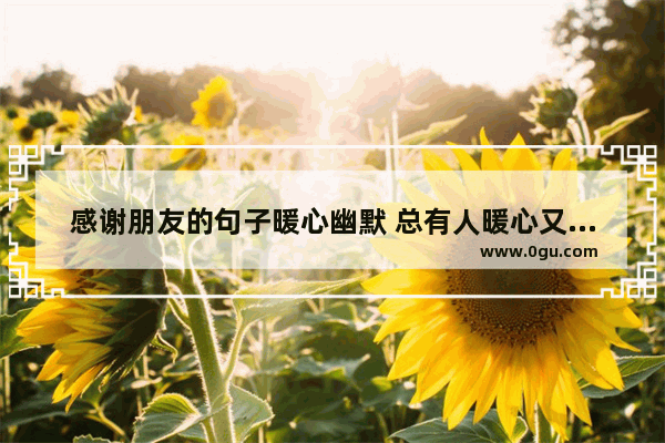 感谢朋友的句子暖心幽默 总有人暖心又幽默的句子