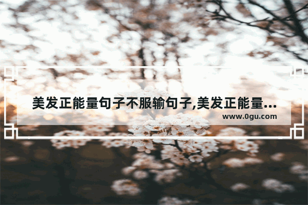 美发正能量句子不服输句子,美发正能量句子不服输句子