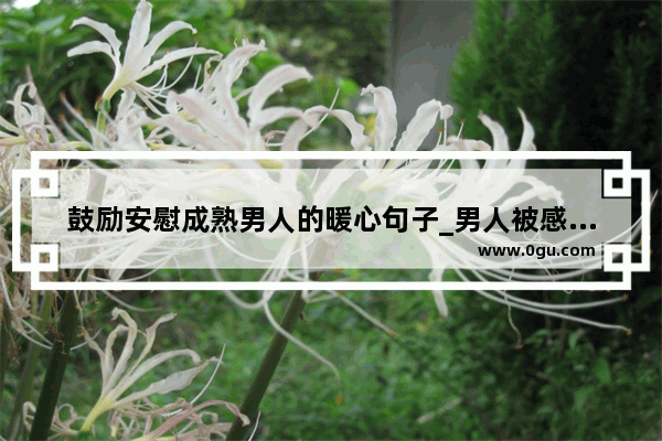 鼓励安慰成熟男人的暖心句子_男人被感情伤到哭的句子