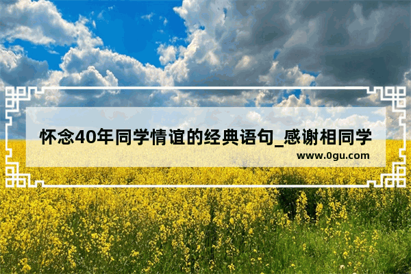 怀念40年同学情谊的经典语句_感谢相同学依相伴的句子