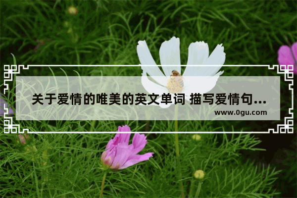 关于爱情的唯美的英文单词 描写爱情句子简短唯美