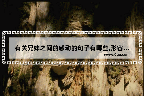 有关兄妹之间的感动的句子有哪些,形容哥哥与妹妹的感情句子