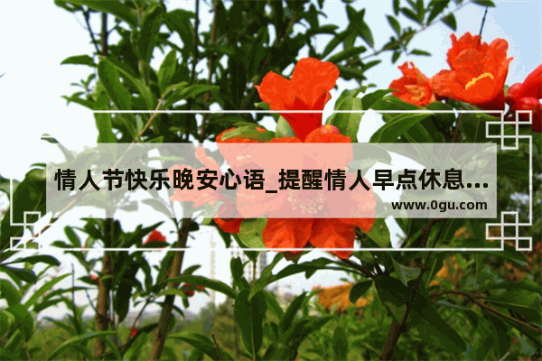 情人节快乐晚安心语_提醒情人早点休息晚安情话