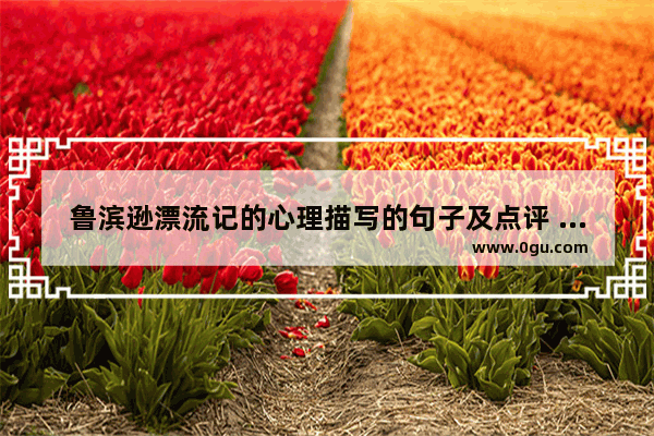 鲁滨逊漂流记的心理描写的句子及点评 体现鲁滨逊的心情句子
