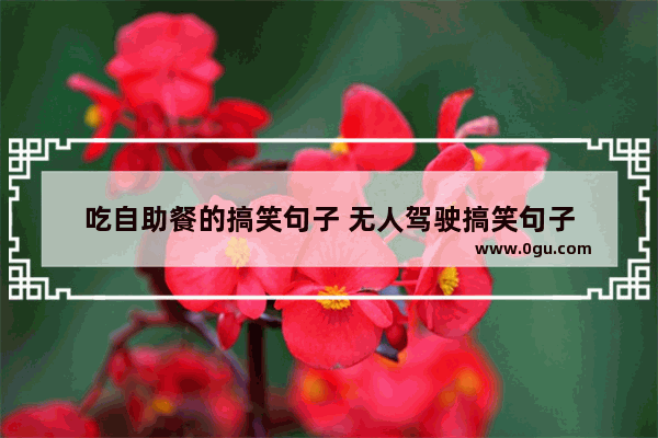 吃自助餐的搞笑句子 无人驾驶搞笑句子