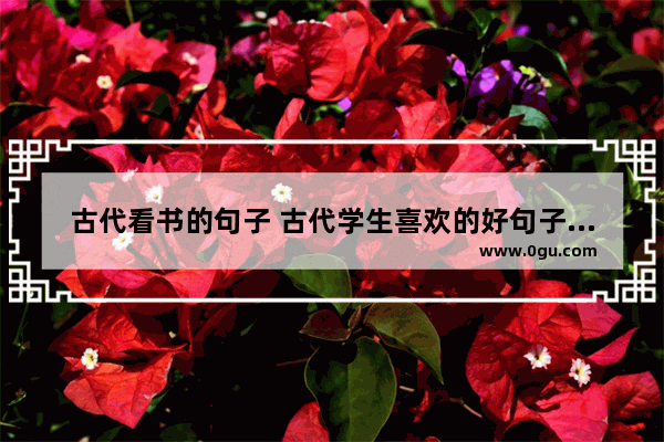 古代看书的句子 古代学生喜欢的好句子摘抄