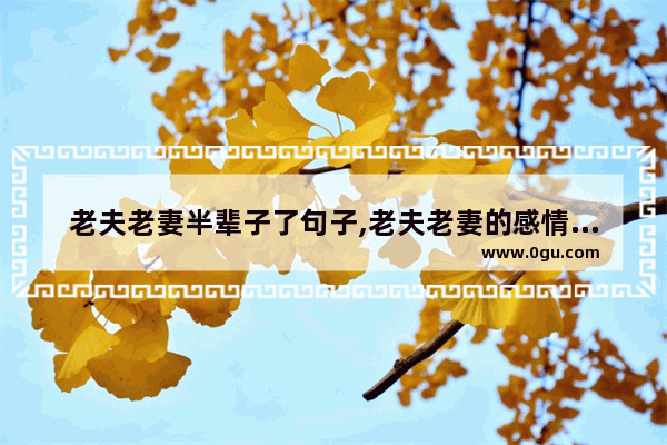 老夫老妻半辈子了句子,老夫老妻的感情句子