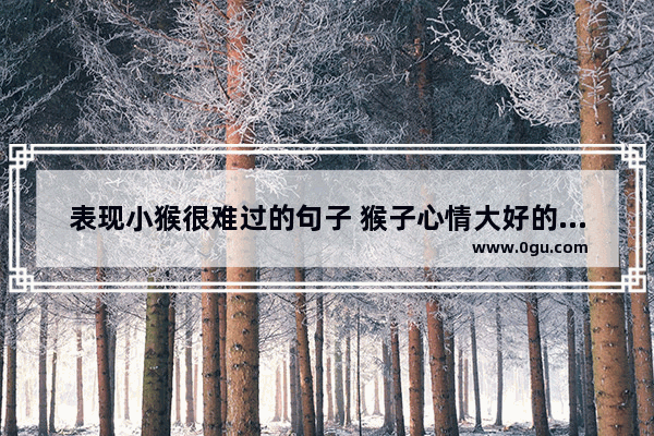 表现小猴很难过的句子 猴子心情大好的句子