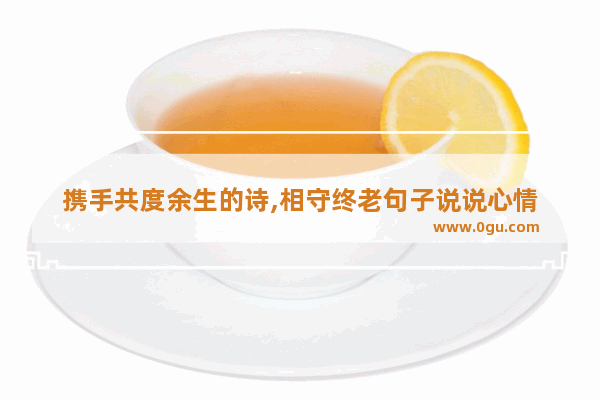 携手共度余生的诗,相守终老句子说说心情