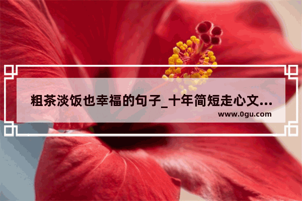 粗茶淡饭也幸福的句子_十年简短走心文案平平淡淡的幸福