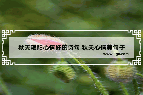 秋天艳阳心情好的诗句 秋天心情美句子