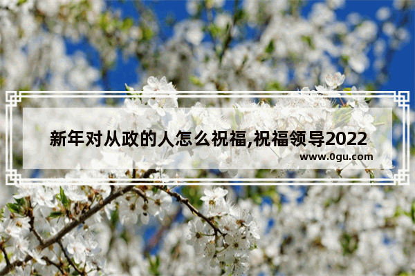 新年对从政的人怎么祝福,祝福领导2022最火句子