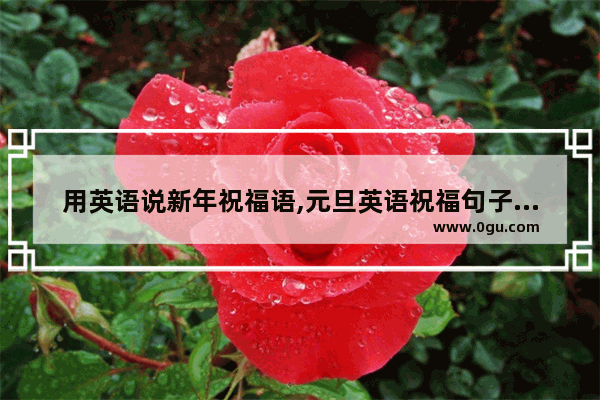 用英语说新年祝福语,元旦英语祝福句子唯美短句