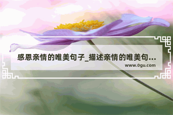 感恩亲情的唯美句子_描述亲情的唯美句子有哪些？要求20字左右