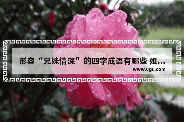 形容“兄妹情深”的四字成语有哪些 姐妹兄弟有感情的句子短句