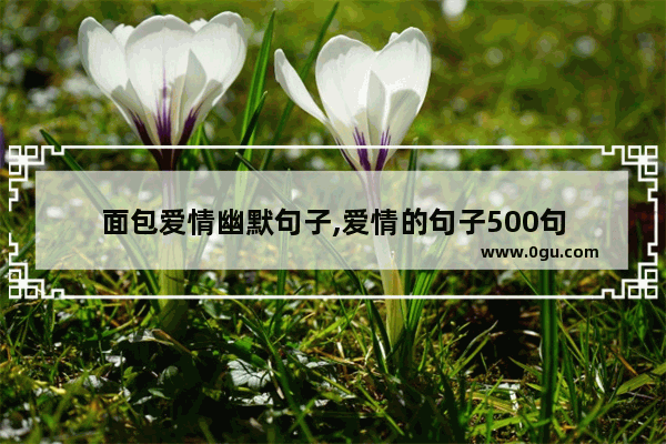 面包爱情幽默句子,爱情的句子500句