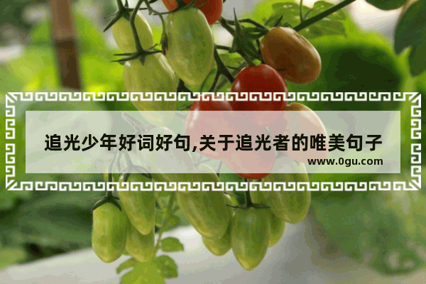 追光少年好词好句,关于追光者的唯美句子