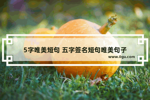 5字唯美短句 五字签名短句唯美句子