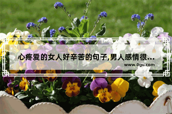 心疼爱的女人好辛苦的句子,男人感情很痛的句子说说