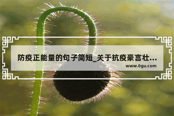 防疫正能量的句子简短_关于抗疫豪言壮语的经典句子